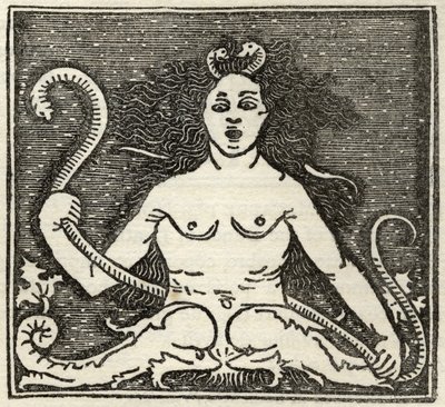 Figura di Medusa, da 